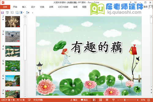 大班科学课件《有趣的藕》PPT课件教案