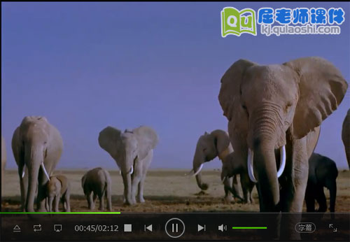 大象视频MP4&mdash;&mdash;2