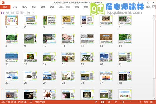 大班科学优质课《动物之最》PPT课件2