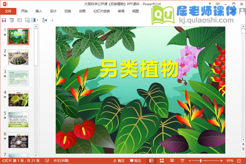 大班科学公开课《另类植物》PPT课件1