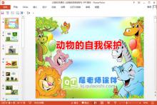 大班科学课件《动物的自我保护》PPT课件下载
