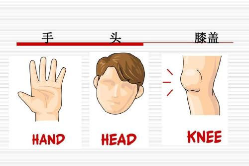 小班音乐律动课件《小手爬》PPT课件