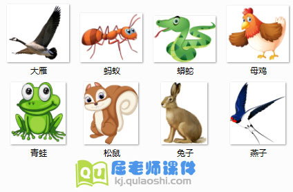 《小动物过冬》PPT课件+教案+图片