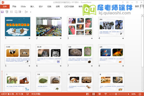 大班科学公开课《动物是怎样睡觉的》PPT课件教案