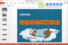大班科学公开课《动物是怎样睡觉的》PPT课件教案下载