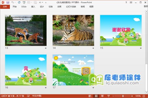 中班社会公开课《东北虎的眼泪》PPT课件教案音频图片4