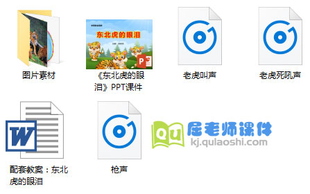《东北虎的眼泪》PPT课件教案音频图片