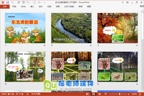 中班社会公开课《东北虎的眼泪》PPT课件教案音频图片2