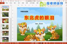 中班社会公开课《东北虎的眼泪》PPT课件教案音频图片下载