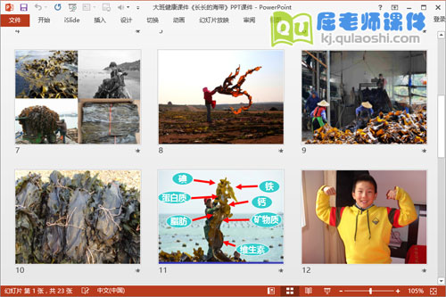 大班健康课件《长长的海带》PPT课件3