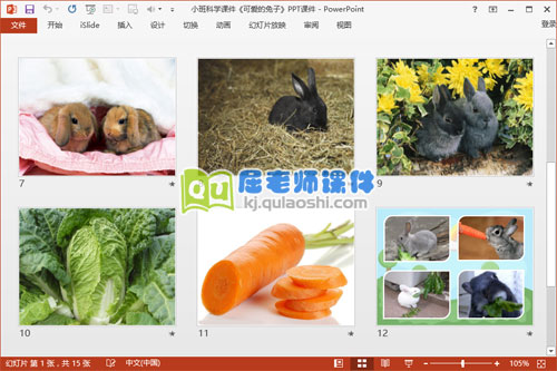 小班科学课件《可爱的兔子》PPT课件3