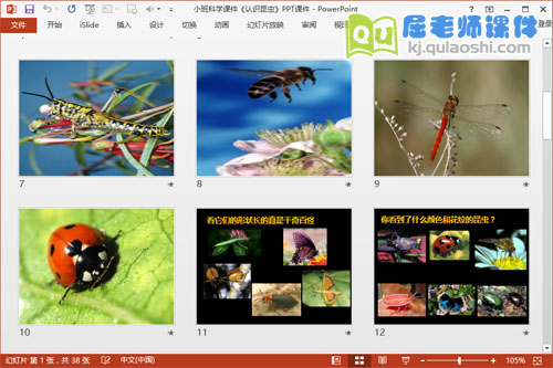 小班科学课件《认识昆虫》PPT课件3