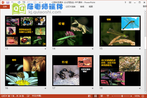 小班科学课件《认识昆虫》PPT课件4