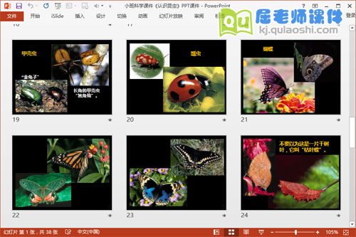 小班科学课件《认识昆虫》PPT课件5