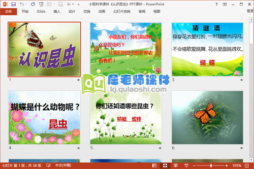 小班科学课件《认识昆虫》PPT课件2