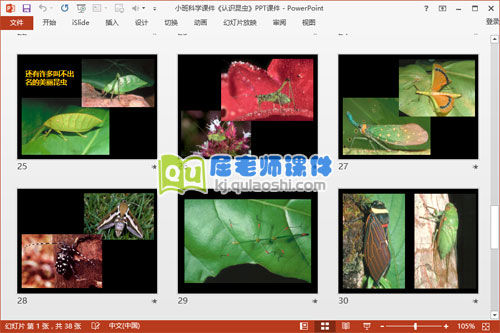 小班科学课件《认识昆虫》PPT课件6