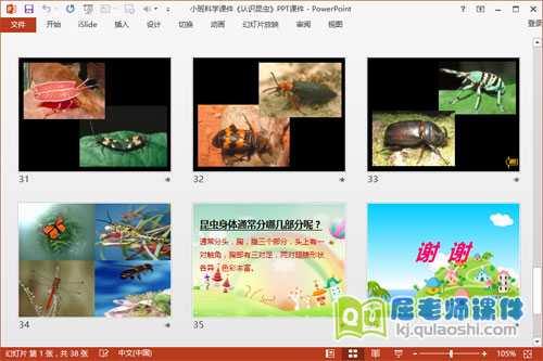 小班科学课件《认识昆虫》PPT课件7