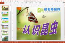 小班科学课件《认识昆虫》PPT课件