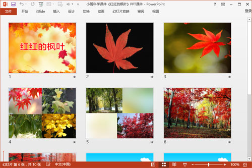 小班科学课件《红红的枫叶》PPT课件2