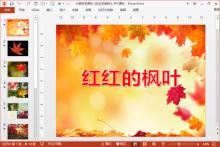 小班科学课件《红红的枫叶》PPT课件下载