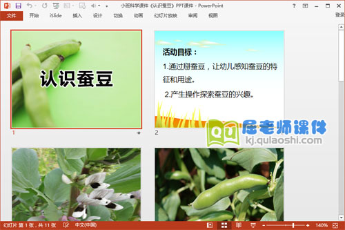 小班科学课件《认识蚕豆》PPT课件2