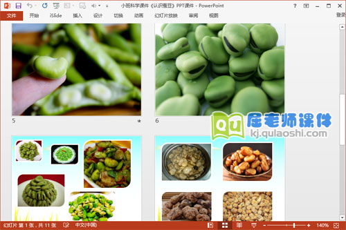小班科学课件《认识蚕豆》PPT课件3