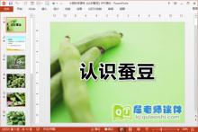 小班科学课件《认识蚕豆》PPT课件下载