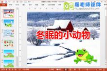 中班科学课件《冬眠的小动物》PPT课件教案视频下载