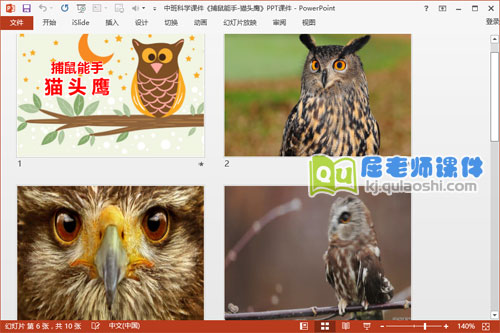 中班科学课件《捕鼠能手-猫头鹰》PPT课件2