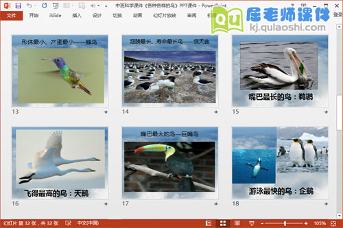 中班科学课件《各种各样的鸟》PPT课件4