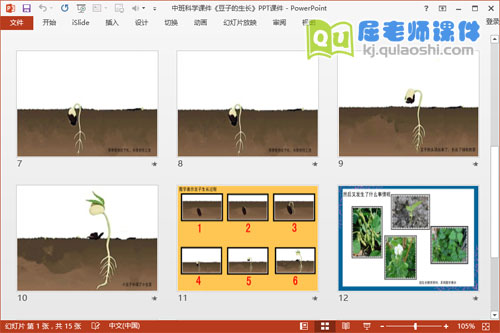 中班科学课件《豆子的生长》PPT课件3