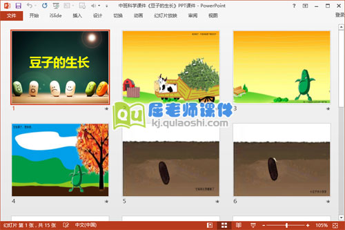 中班科学课件《豆子的生长》PPT课件2