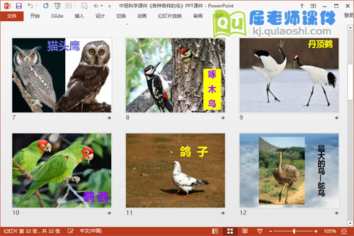 中班科学课件《各种各样的鸟》PPT课件3