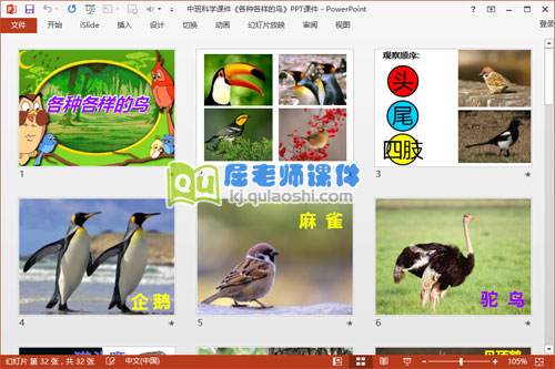 中班科学课件《各种各样的鸟》PPT课件2