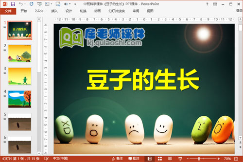 中班科学课件《豆子的生长》PPT课件