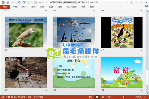中班科学课件《各种各样的鸟》PPT课件6