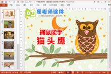 中班科学课件《捕鼠能手-猫头鹰》PPT课件下载