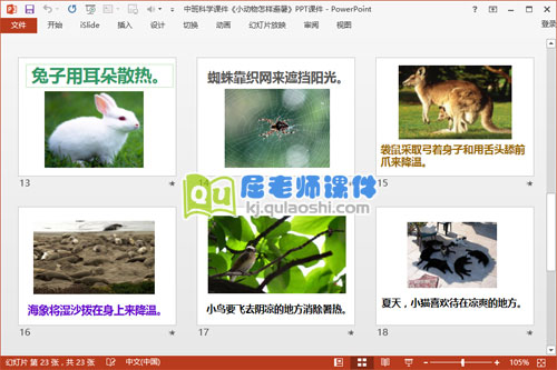 中班科学课件《小动物怎样避暑》PPT课件4