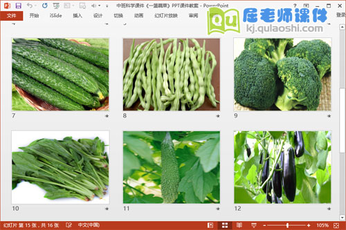 中班科学课件《一篮蔬菜》PPT课件教案3