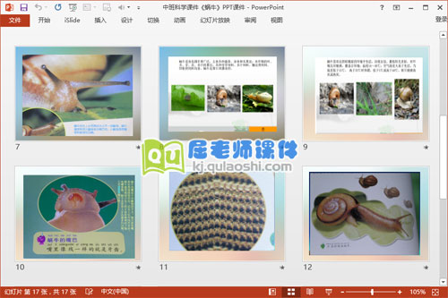 中班科学课件《蜗牛》PPT课件3