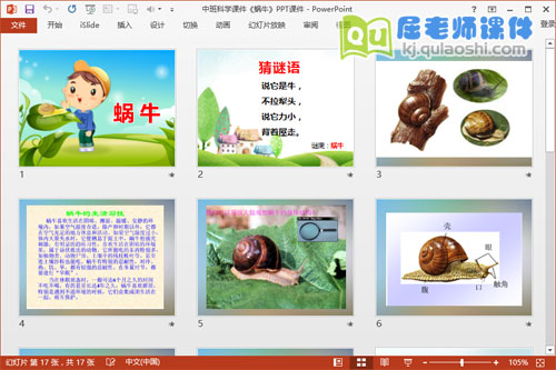 中班科学课件《蜗牛》PPT课件2