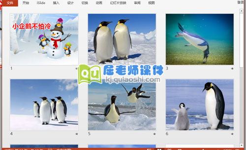 中班美术课件《小企鹅不怕冷》PPT课件2