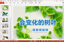 中班美术课件《会变化的树叶》PPT课件下载