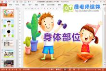 大班健康课件《身体部位》PPT课件下载