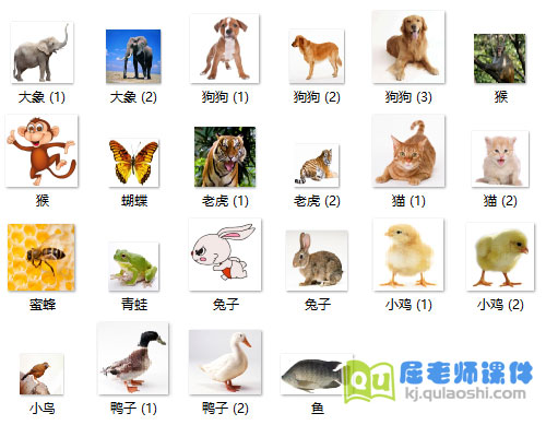 小班英语课件《动物》PPT课件图片音效7