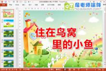 大班语言课件《住在鸟窝里的小鱼》PPT课件教案图片音频下载