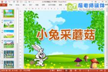 小班科学课件《小兔采蘑菇》PPT课件教案教具图片下载