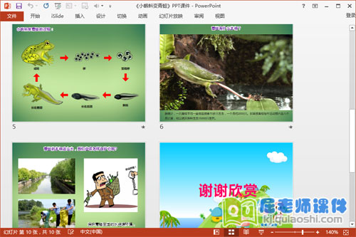 中班科学课件《小蝌蚪变青蛙》PPT课件教案学具视频2