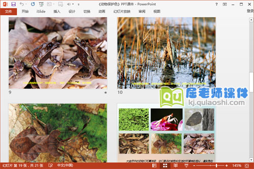 大班科学课件《动物保护色》PPT课件教案图片4