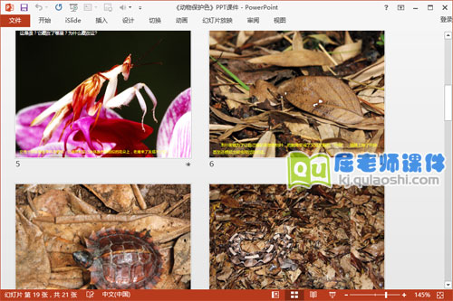 大班科学课件《动物保护色》PPT课件教案图片3
